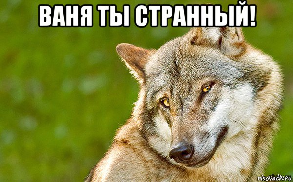 ваня ты странный! , Мем   Volf