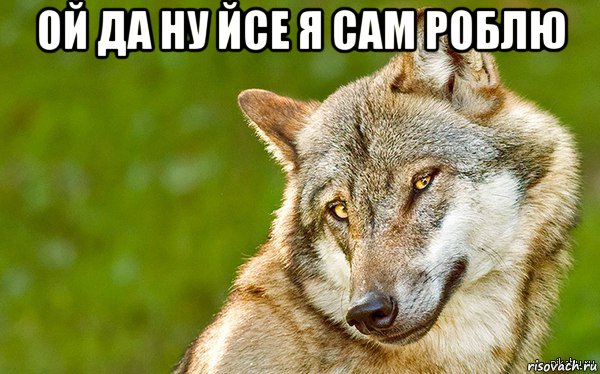 ой да ну йсе я сам роблю , Мем   Volf