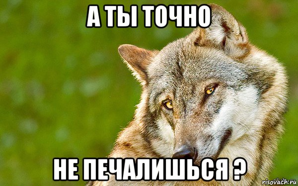 а ты точно не печалишься ?, Мем   Volf