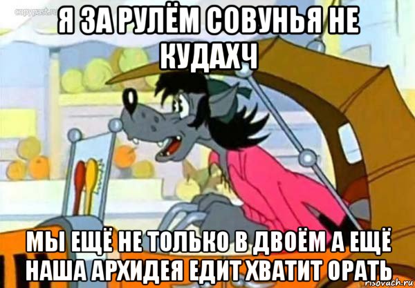 я за рулём совунья не кудахч мы ещё не только в двоём а ещё наша архидея едит хватит орать, Мем Волк