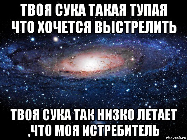 твоя сука такая тупая что хочется выстрелить твоя сука так низко летает ,что моя истребитель, Мем Вселенная