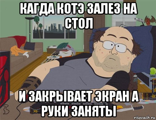 кагда котэ залез на стол и закрывает экран а руки заняты, Мем   Задрот south park