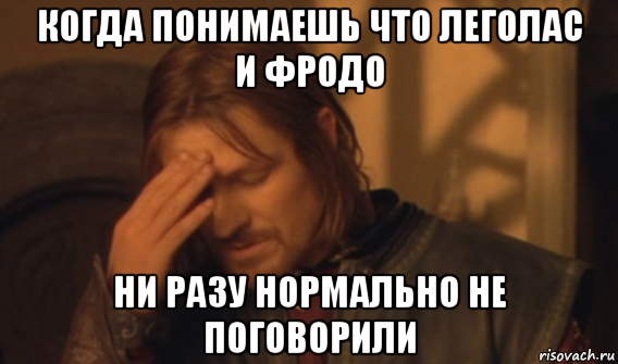 когда понимаешь что леголас и фродо ни разу нормально не поговорили, Мем Закрывает лицо