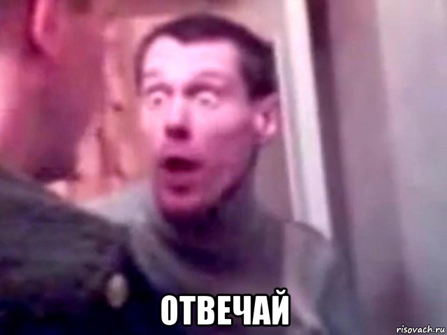  отвечай, Мем Запили