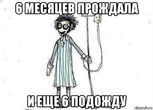 6 месяцев прождала и еще 6 подожду, Мем  зато я сдал