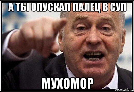 а ты опускал палец в суп мухомор, Мем жириновский ты