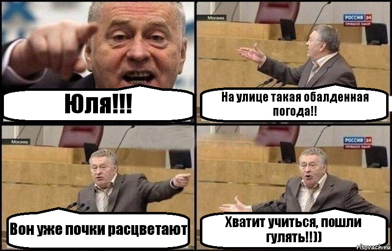 Юля!!! На улице такая обалденная погода!! Вон уже почки расцветают Хватит учиться, пошли гулять!!)), Комикс Жириновский