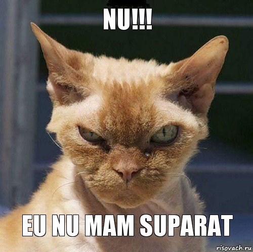 NU!!! Eu nu mam suparat