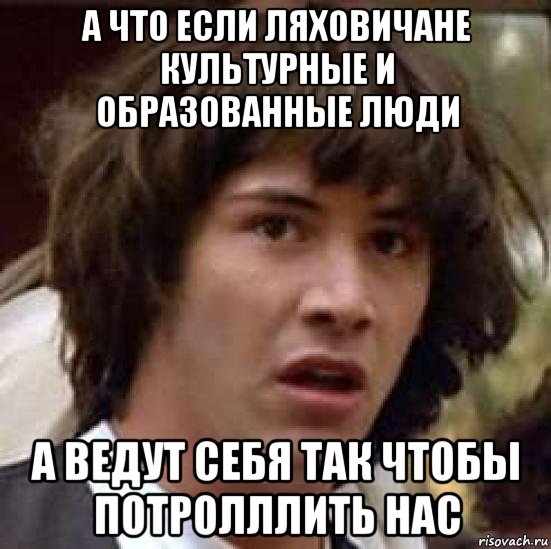 а что если ляховичане культурные и образованные люди а ведут себя так чтобы потролллить нас, Мем А что если (Киану Ривз)