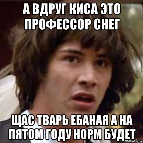 а вдруг киса это профессор снег щас тварь ебаная а на пятом году норм будет, Мем А что если (Киану Ривз)