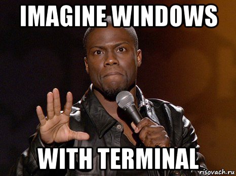 imagine windows with terminal, Мем  А теперь представь