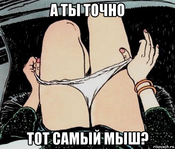 а ты точно тот самый мыш?, Мем А ты точно