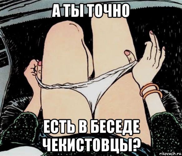 а ты точно есть в беседе чекистовцы?, Мем А ты точно