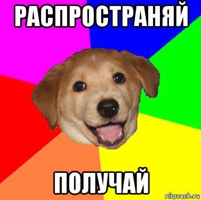 распространяй получай, Мем Advice Dog