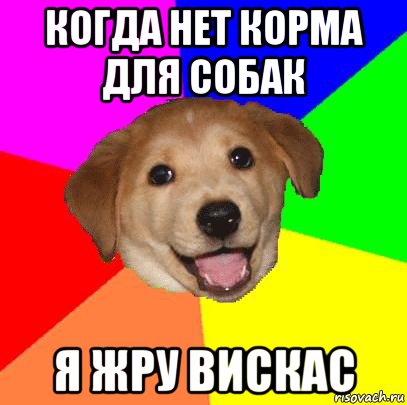 когда нет корма для собак я жру вискас, Мем Advice Dog