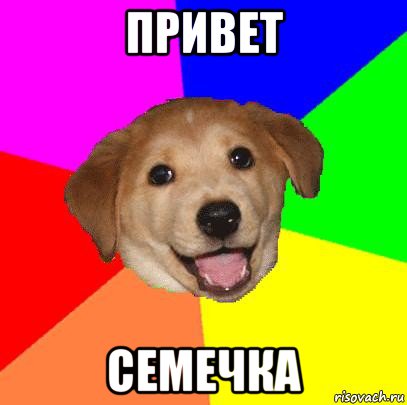 привет семечка, Мем Advice Dog