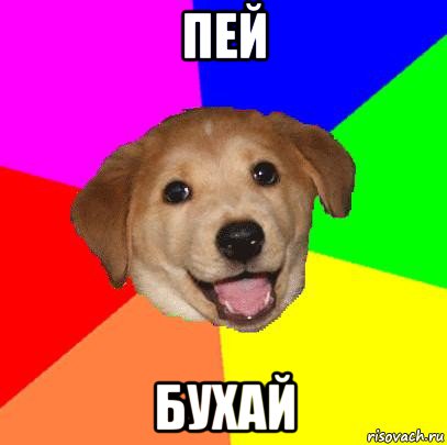 пей бухай, Мем Advice Dog