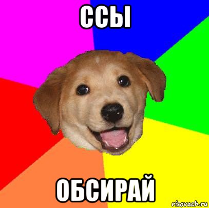 ссы обсирай, Мем Advice Dog