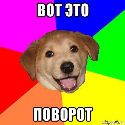 вот это поворот, Мем Advice Dog