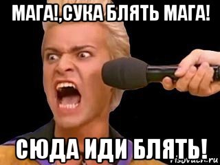 мага!,сука блять мага! сюда иди блять!, Мем Адвокат