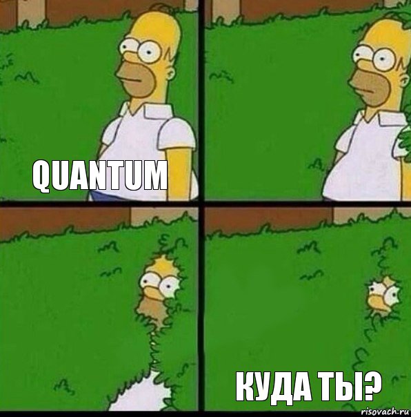 quantum   куда ты?