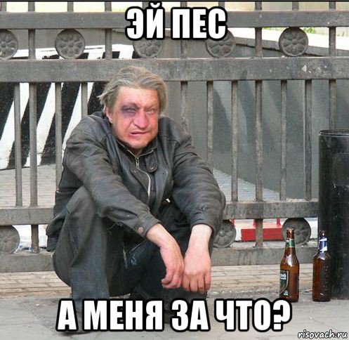 эй пес а меня за что?, Мем Бомжара