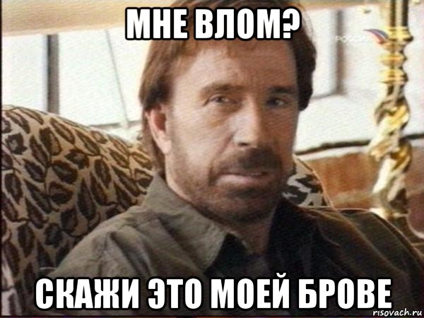 мне влом? скажи это моей брове