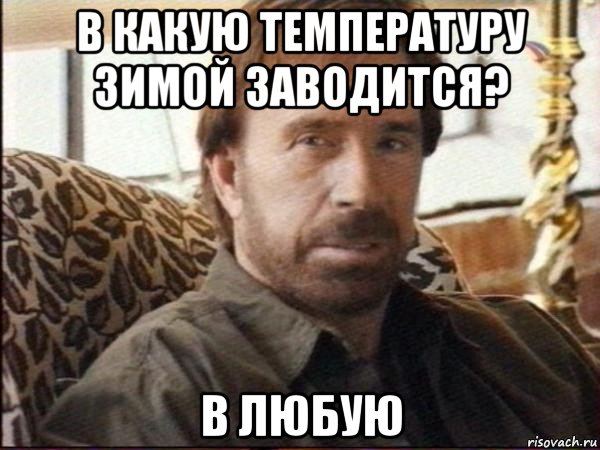 в какую температуру зимой заводится? в любую