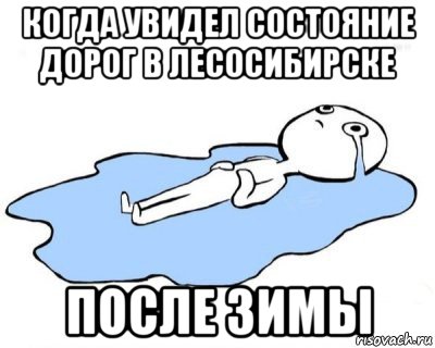 когда увидел состояние дорог в лесосибирске после зимы, Мем   человек в луже плачет