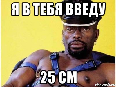 я в тебя введу 25 см, Мем Черный властелин зерк