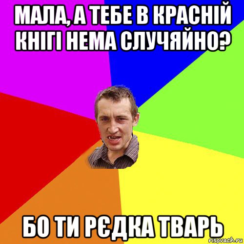 мала, а тебе в красній кнігі нема случяйно? бо ти рєдка тварь, Мем Чоткий паца