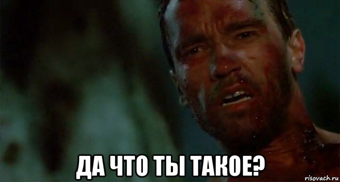  да что ты такое?, Мем Что ты такое