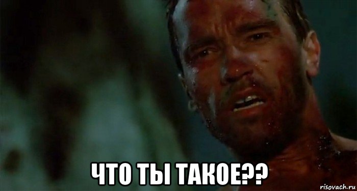  что ты такое??, Мем Что ты такое