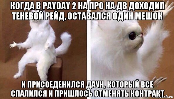 когда в payday 2 на про на дв доходил теневой рейд, оставался один мешок и присоеденился даун, который все спалился и пришлось отменять контракт, Мем Чучело кота