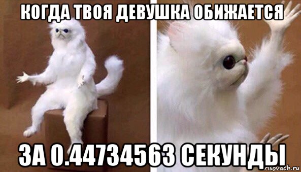 когда твоя девушка обижается за 0.44734563 секунды, Мем Чучело кота