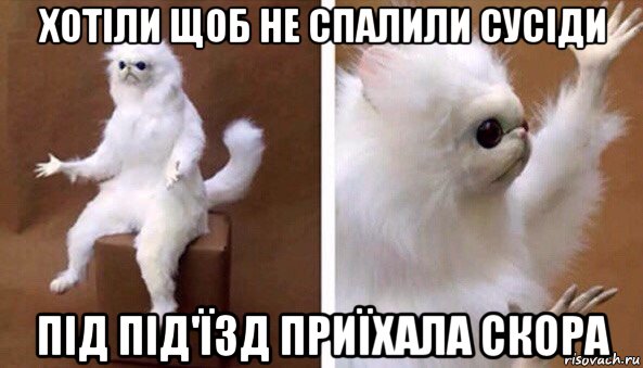 хотіли щоб не спалили сусіди під під'їзд приїхала скора, Мем Чучело кота