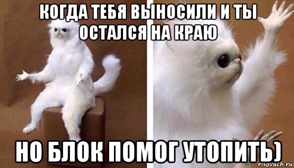 когда тебя выносили и ты остался на краю но блок помог утопить), Мем Чучело кота