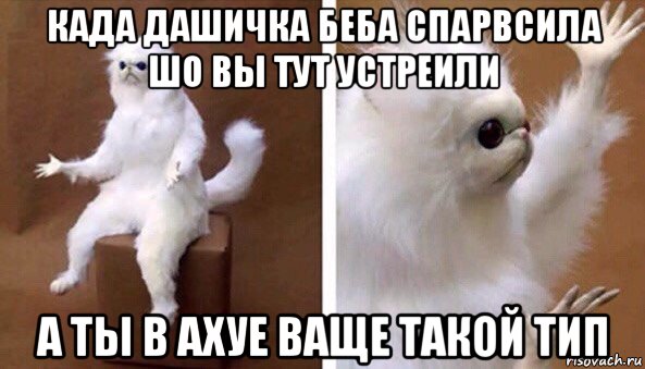 када дашичка беба спарвсила шо вы тут устреили а ты в ахуе ваще такой тип, Мем Чучело кота