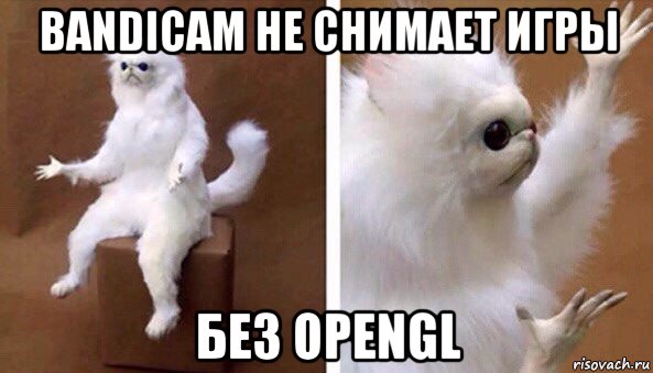 bandicam не снимает игры без opengl