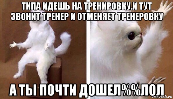 типа идешь на тренировку.и тут звонит тренер и отменяет тренеровку а ты почти дошел%%лол, Мем Чучело кота