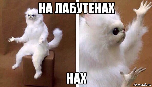 на лабутенах нах, Мем Чучело кота