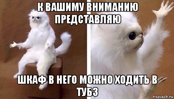 к вашиму вниманию представляю шкаф в него можно ходить в тубз, Мем Чучело кота