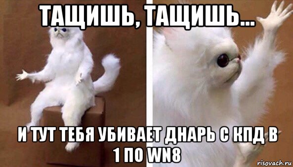 тащишь, тащишь... и тут тебя убивает днарь с кпд в 1 по wn8