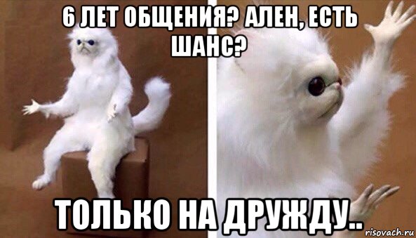 6 лет общения? ален, есть шанс? только на дружду.., Мем Чучело кота