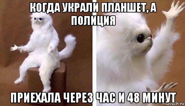 когда украли планшет, а полиция приехала через час и 48 минут