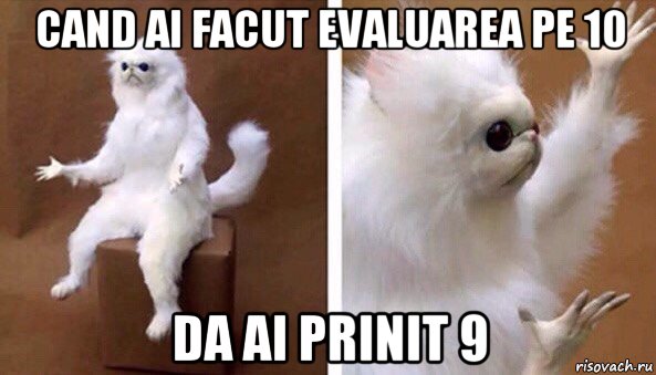 cand ai facut evaluarea pe 10 da ai prinit 9, Мем Чучело кота