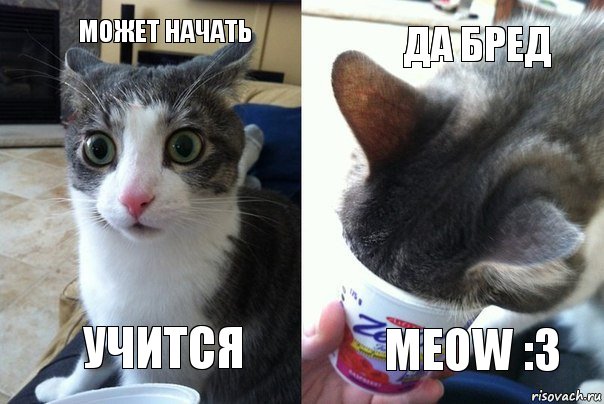 может начать учится да бред meow :3, Комикс  Да не бред какой-то (4 зоны)