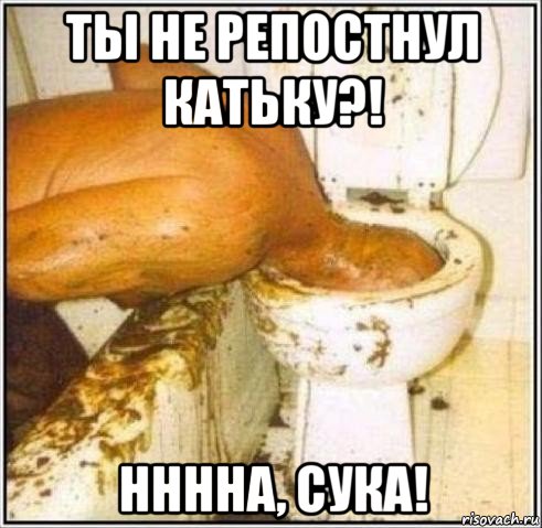 ты не репостнул катьку?! нннна, сука!, Мем Дайвер