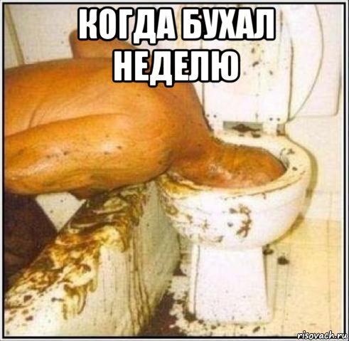 когда бухал неделю , Мем Дайвер