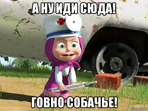 а ну иди сюда! говно собачье!, Мем  Давай давай лечится